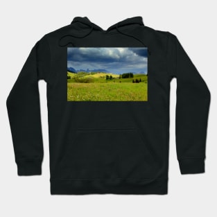 The storm on Seiser Alm Hoodie